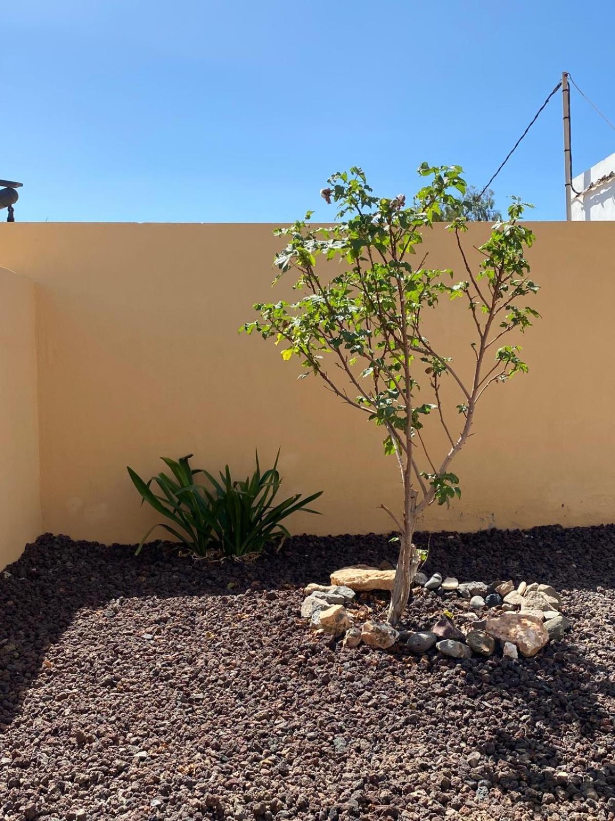 Casa Yamile Villa Tarajalejo Buitenkant foto